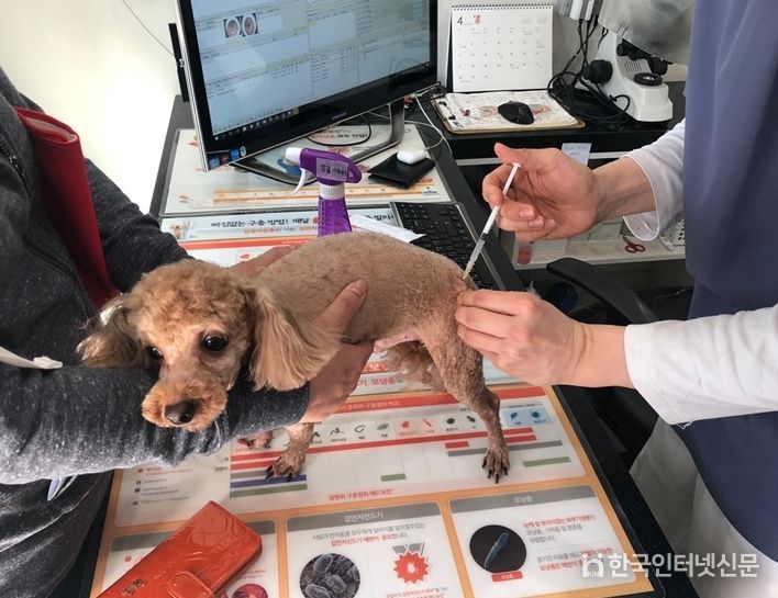 광명시는 오는 4월 8일부터 19일까지 12일간 광명시 동물병원 16개소에서 광견병 예방백신을 접종한다