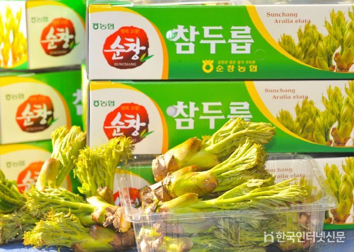 순창 두릅농가‘든든한 울타리’생겼다…농작물재해보험 도입