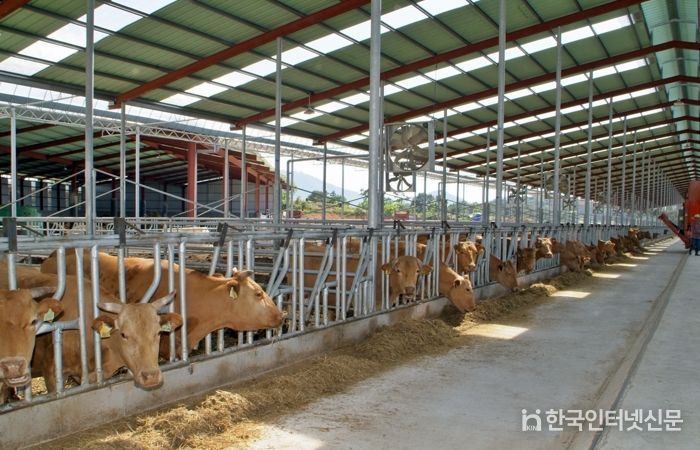 정읍시, 겨울철 축산재해 예방 총력… 신속 대응 체계 구축