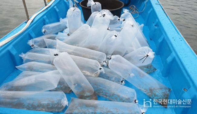 박대종자 5만미 옥도면 야미도 해역에 방류