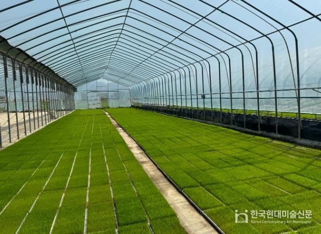 임실군, 벼 병해충 방제 생력화 시범사업 성료