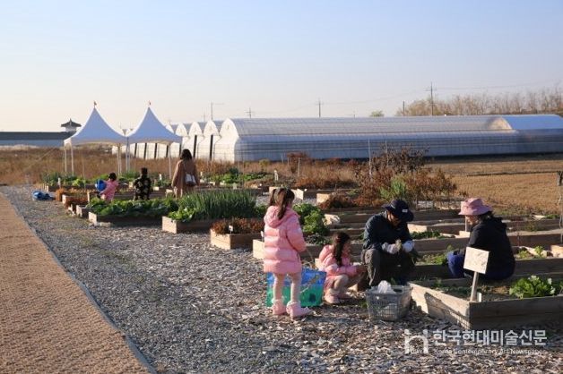 함께 심고 가꾼 도시농업 체험농장 ‘도란도란’ 한 해 마무리