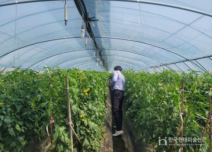 금산군농업기술센터, 토마토뿔나방 대응 2차 방제 물품 지원