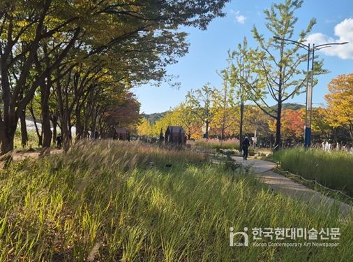 인천대공원에서 즐기는 마지막 코스모스