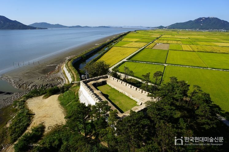강화군, ‘서해 황금 들녘길’ 걷기 챌린지