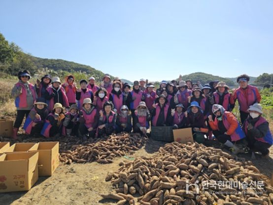 생활개선회와 ‘사랑의 고구마’나눔으로 온정