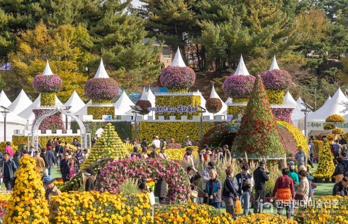 가을 정취의 절정…익산 국화축제 '76만 명' 몰렸다