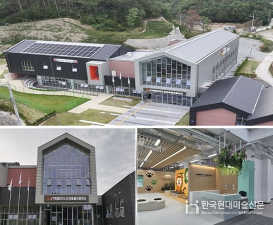 강원특별자치도 반려동물지원센터 현장사진