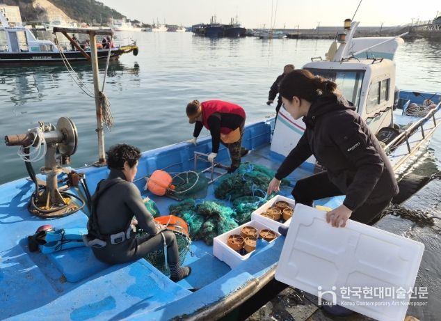 자체생산 해삼 종자 6만 6백미 마을어장 방류