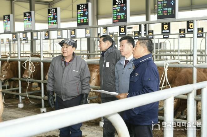 송아지 경매시장 전경