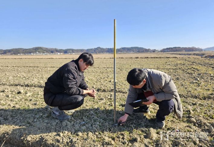 서천군, 맥류 웃거름 적기 시비 당부