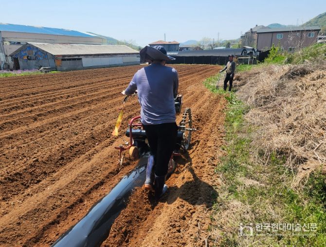 강화군, 밭 농작업 대행 서비스 추진