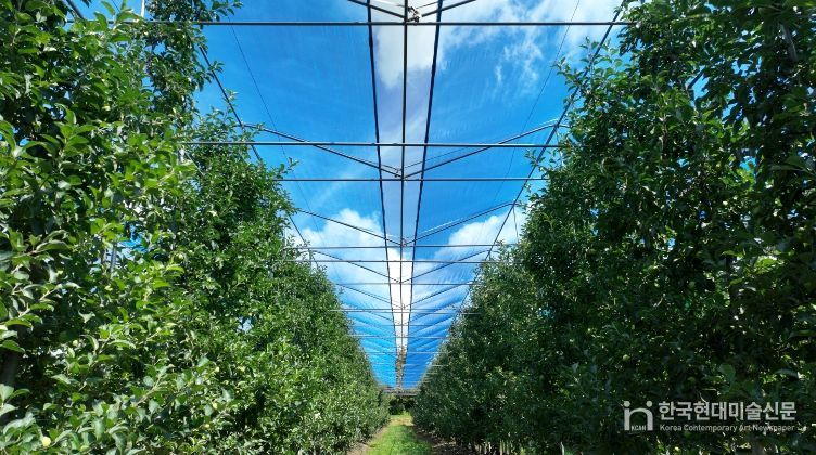 무주군 사과농장 햇빛 차광망