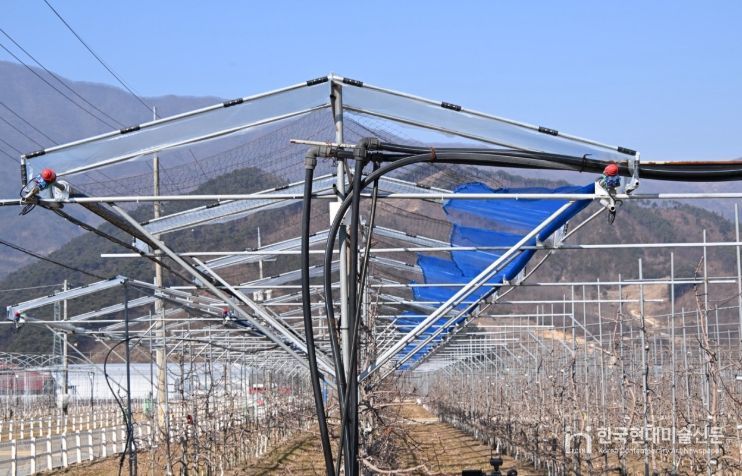 기후변화 대응 과원 피해저감 시설지원’