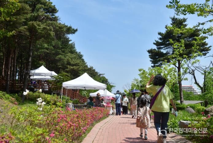 속초시립박물관, 2026년 노리숲길 숲속마켓 셀러 모집