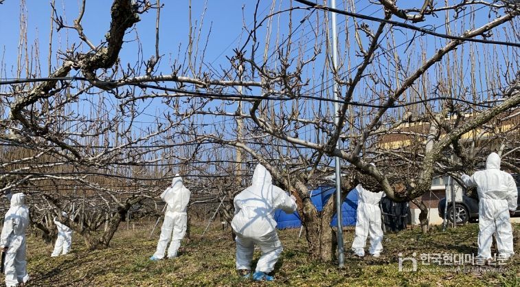 병해충 방제 약제 지원 신청 접수