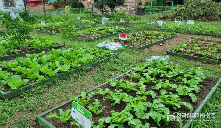 강북 도시농업 체험장 전경
