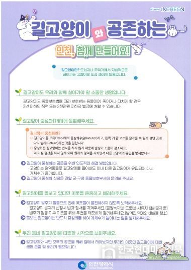 계양구, 길고양이 중성화 수술(TNR) 지원사업 추진