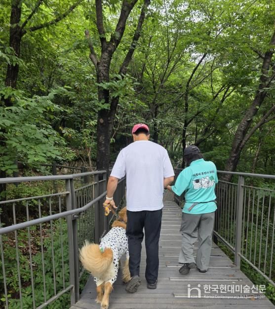 지난해‘산책할개’남산자락숲길 산책 실습