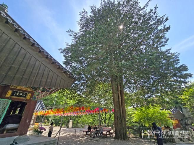 임실 성수산, 산림 레포츠·숲 해설 프로그램 본격운영6(성수산 상이암)