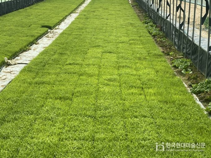 음성군, 벼 파종 전 종자 관리 꼼꼼히 챙기세요