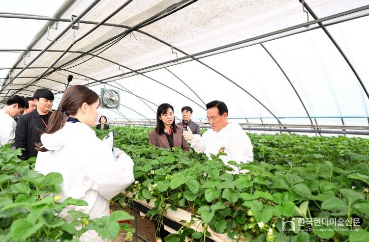 농산물 안전성 교육 및 안전성 검사