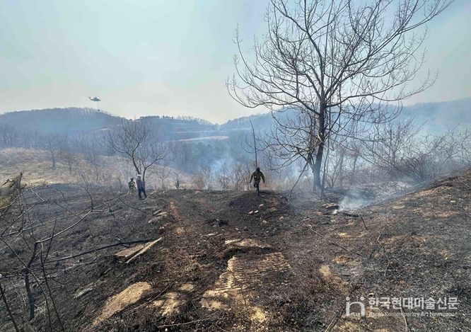 산불 현장 사진(임실군 관촌면 신전리)