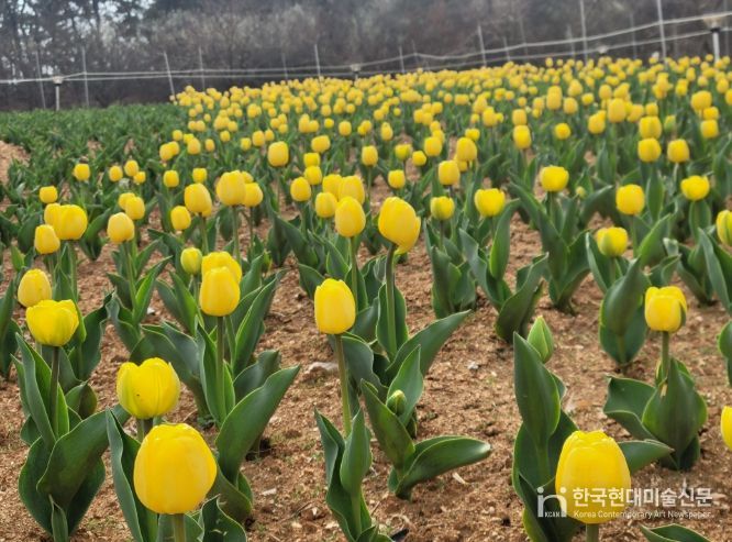 익산 신흥공원에 찾아온 봄