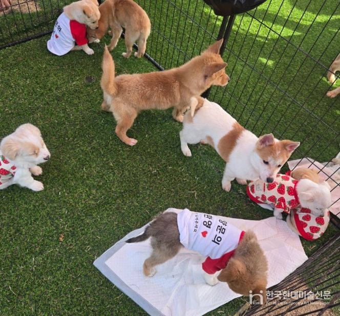 찾아가는 입양홍보센터