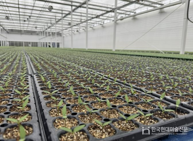 음성군, 철저한 육묘상 관리로 고추농사 준비 당부
