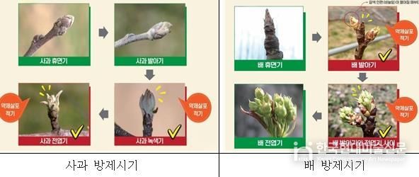 철원군, 과수화상병 피해 막기 위한 사전 예방관리 강화