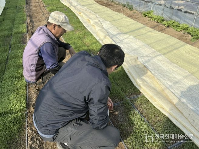 포천시농업기술센터, 벼 발아율 저하 대비 안전육묘 현장기술지원 강화