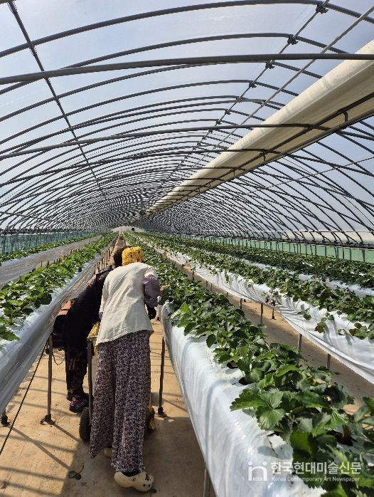 홍성군, 이론 넘어 현장으로 신규농업인 현장실습 1:1 멘토링 실습 돌입