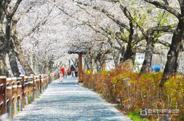 순창 옥천골 벚꽃축제 북적