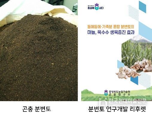 충북농기원, 검증 기술로 곤충 농가 경영비 부담 완화