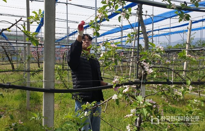 원주시농업기술센터, 과수 인공수분 ‘꽃가루 은행’ 운영