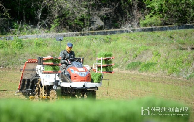 화천군이 지역 농가를 대상으로 농기계 수리 후 발생하는 폐유 수거 사업을 실시한다. 사진은 화천지역에서 이앙기 농기계로 모내기를 하고 있는 모습
