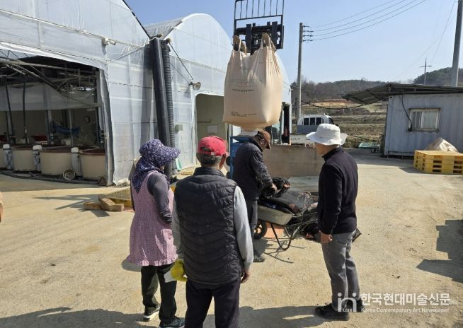 볍씨 발아 점검 사진