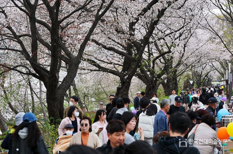 동대문구 봄꽃축제