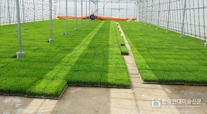 남원시, 벼 육묘상처리제 지원으로 초기 병해충 적극 예방