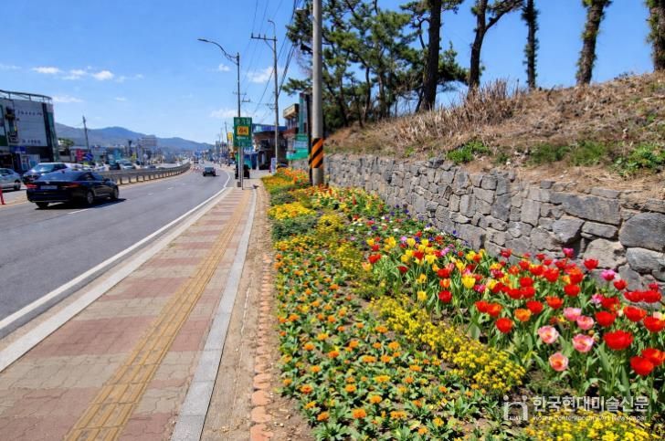 강화군, 길 위에 봄을 심다… 48국도변 2만여 본 봄꽃 식재